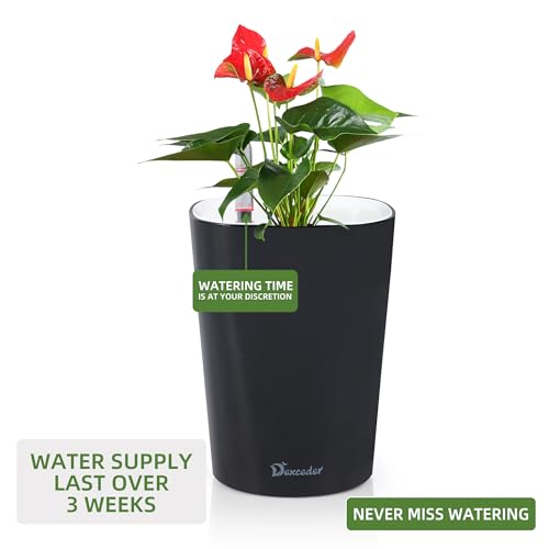 6x7 Self Watering Planter
