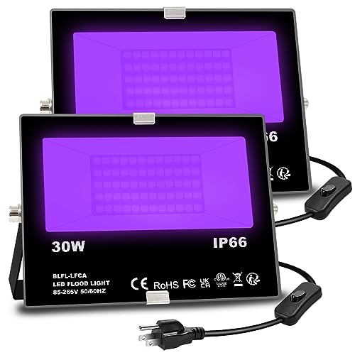 Black Light 30W LED Blacklight Flood Light Outdoor for Glow Party