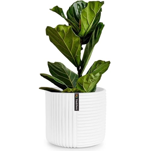 Large Planter for Indoor or Outdoor