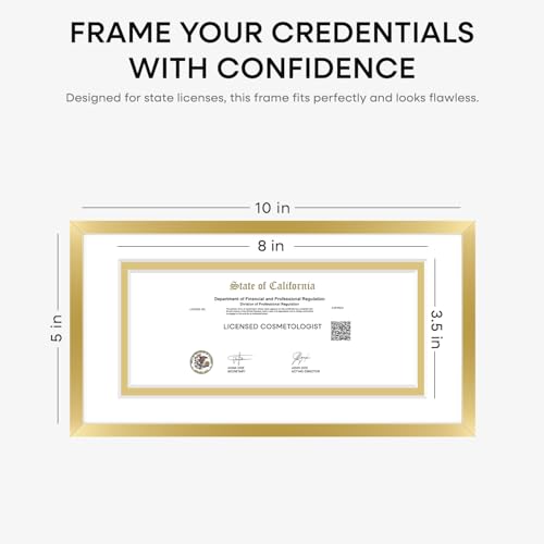 5x10 Gold License Frame