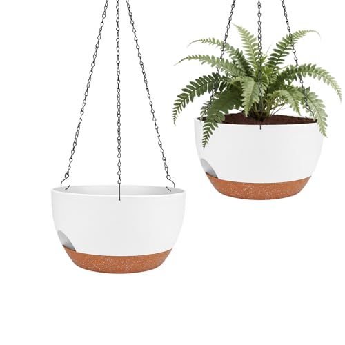 2 Pack 10 Inch Self Watering Hanging Planter for Indoor Outdoor Plants (2 Count)