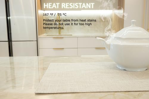 Placemat Set Washable Place Mats for Parties (4 Count)