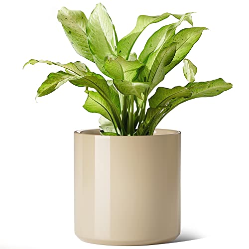 12 Inch Pot for Plants