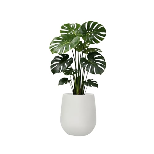 11.8"H Plastic Planters with Drainage Holes and Plug