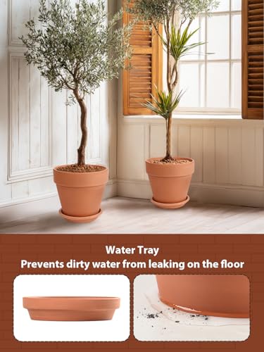 12 Inch Terracotta Pot Set of 2 with Saucer (2 Count)