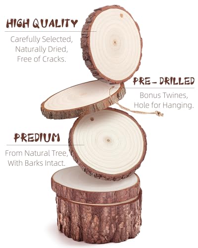 Wood Slices with Hole (30 Count)