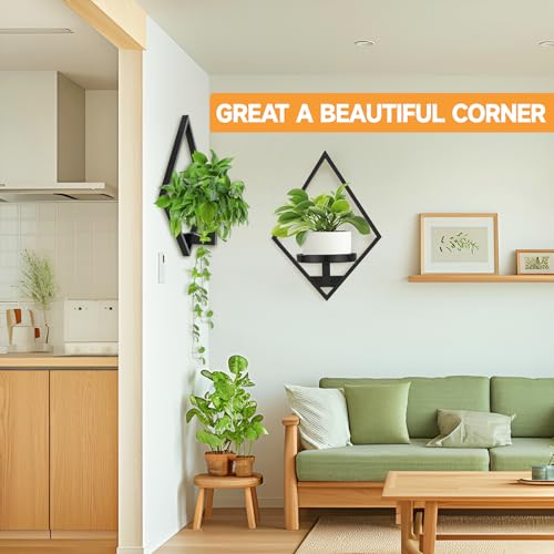 Wall Plant Holder