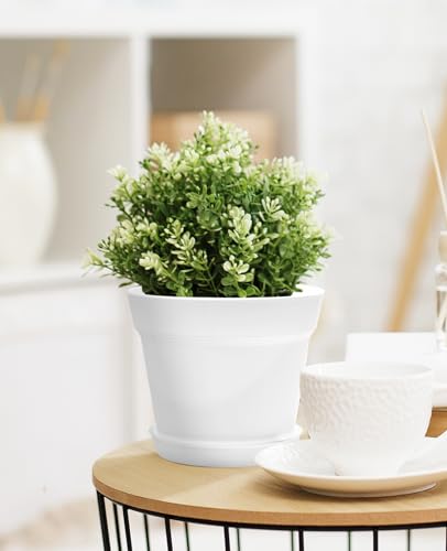 6 Inch Plastic Plant Pots with Drainage Holes and Trays (15 Count)