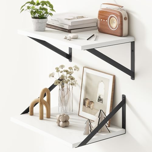 10 Inch Deep Floating Shelves (2 Count)