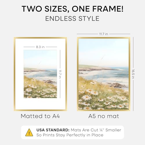 A3 Gold Picture Frame