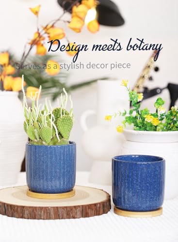 4 Inch Cylinder Ceramic Plant Pots with Trays (4 Count)