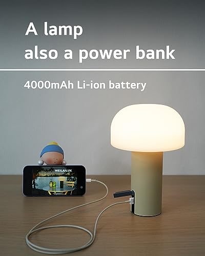 Cordless Mushroom Table Lamp