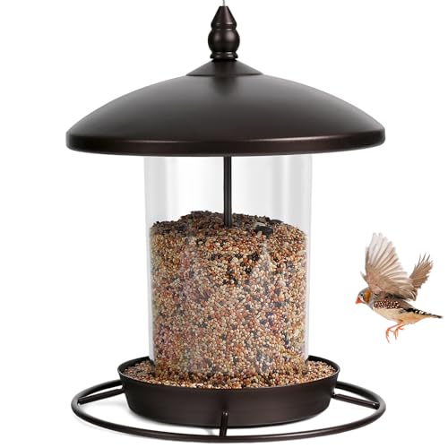 Metal Roof Bird Feeder
