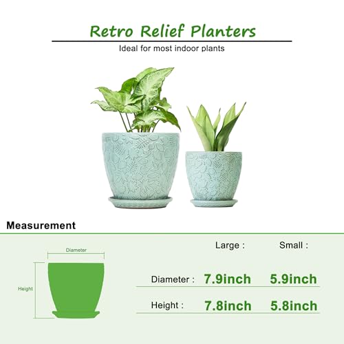 8 Inch + 6 Inch Plant Pots for Indoor Plants (2 Count)