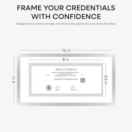 5x10 Silver License Frame (3 Count)