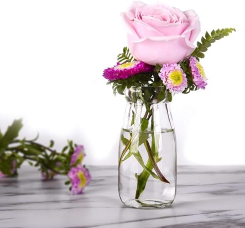 Small Glass Jars with Lids (12 Count)