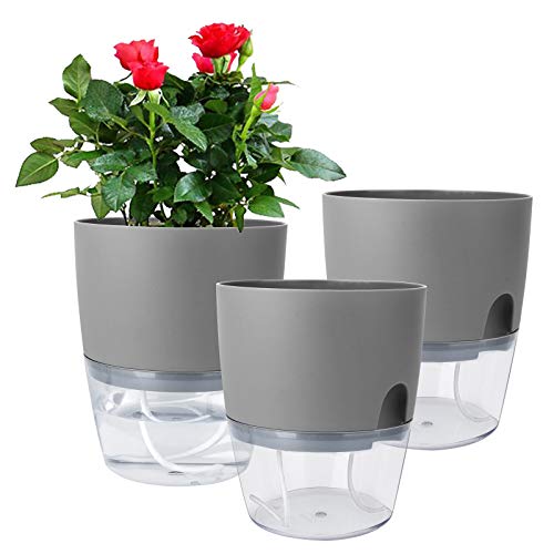 6 Inch Self Watering Pots for Indoor Plants African Violet Pots (3 Count)