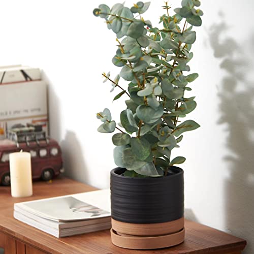 6 Inch Plant Pots