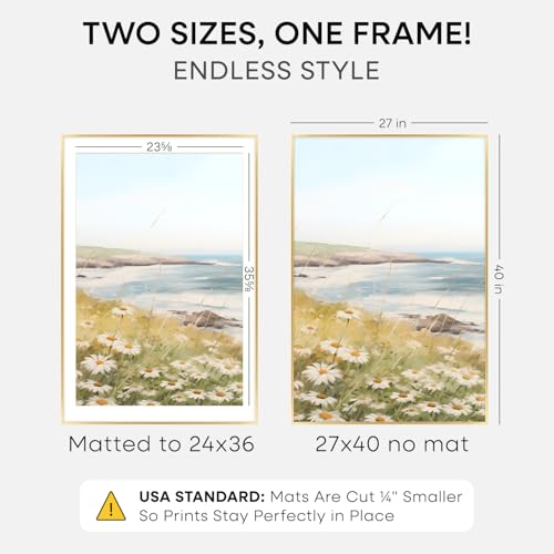 27x40 Gold Poster Frame
