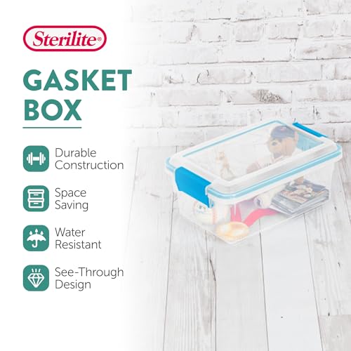 18 Pack Gasket Box (4 Count)
