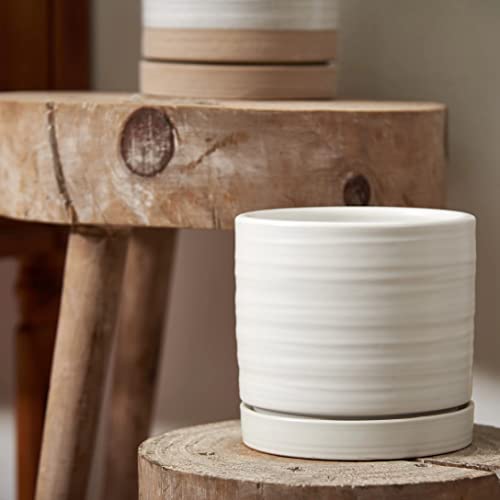 6 Inch Plant Pots