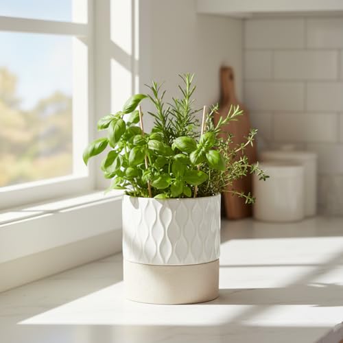 Self Watering Ceramic Plant Pot