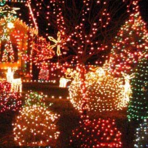 Fairy Lights Battery Operated (20 Foot)