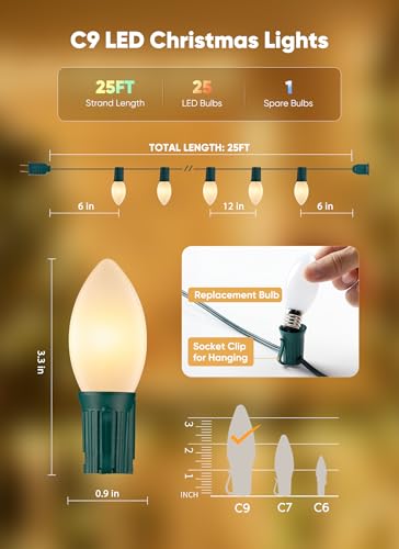 25Ft Christmas Lights Outdoor (25 Count)