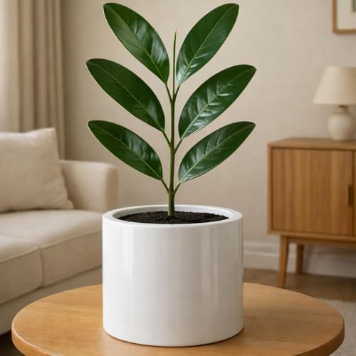 Large Planter for Indoor or Outdoor