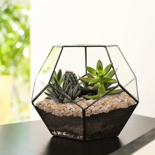 5 lbs Coarse Sand for Plants (80 Ounce)