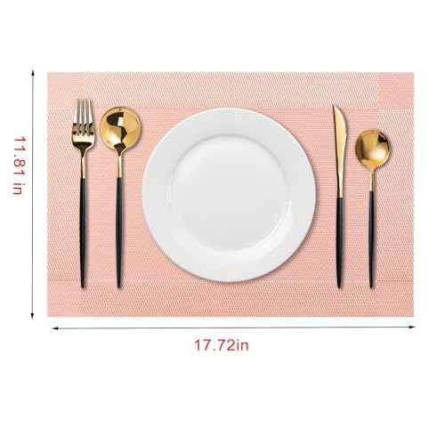 Placemats Set of 4 Washable Indoor (4 Count)