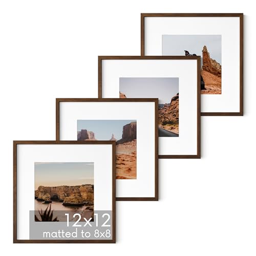 Walnut Oak Wood 12x12 Picture Frames (4 Count)