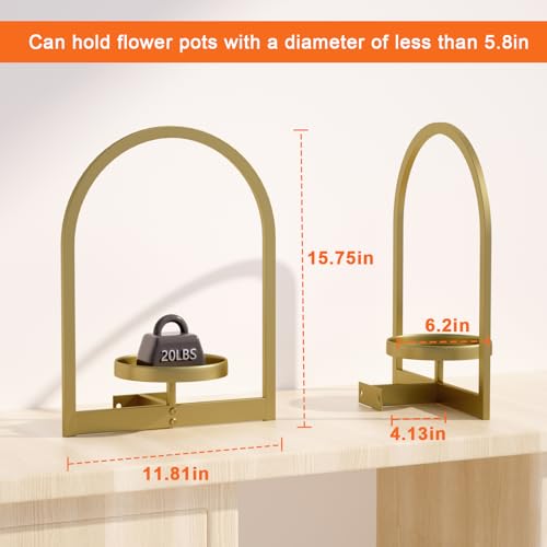 Wall Plant Holder (2 Count)