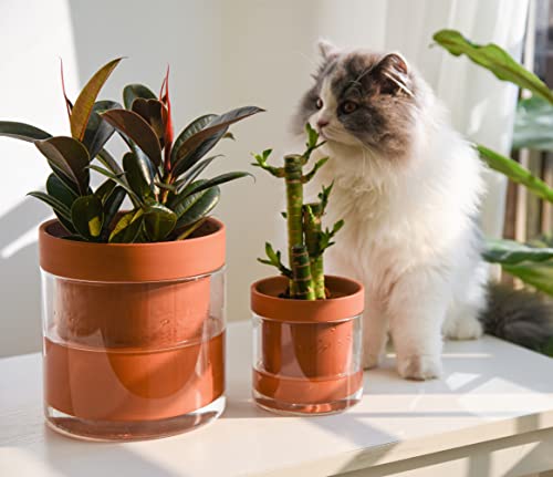 4 Inch 6 Inch Self Watering Planter Pots (2 Count)