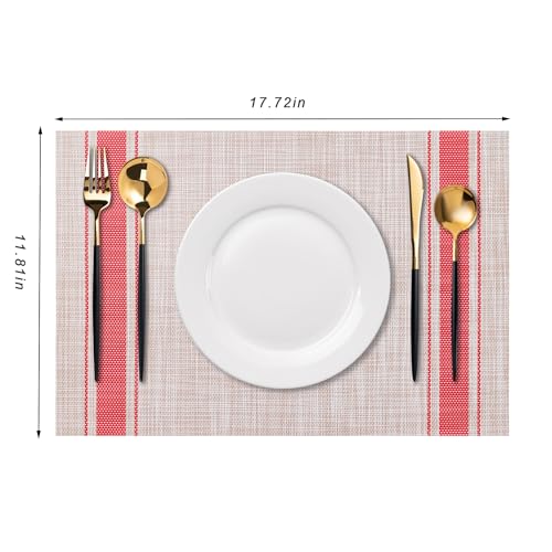 Placemats Set of 4 Washable Indoor (4 Count)
