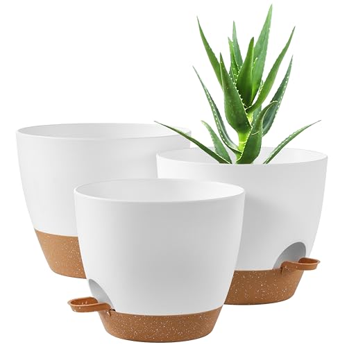 3 Pack Planter Pots (3 Count)