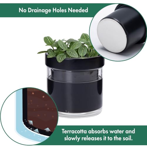 4 Inch Self Watering Planter Pot (3 Count)