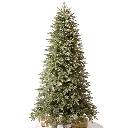Stratford Spruce