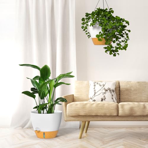 12 Inch Hanging Planters for Indoor Outdoor Plants (2 Count)