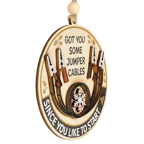 Funny Christmas Ornaments 2026