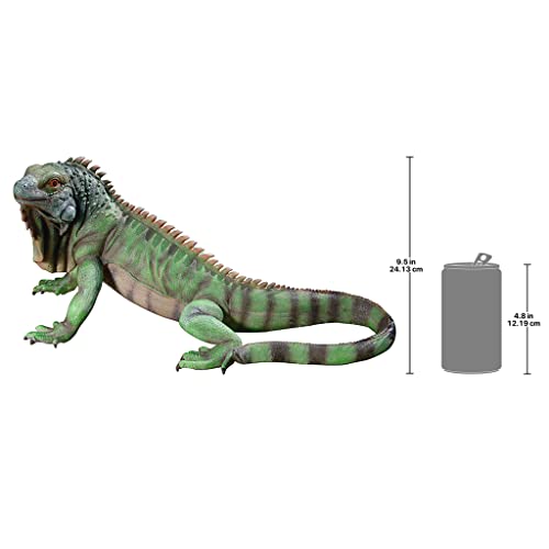 Iggy The Iguana Indoor