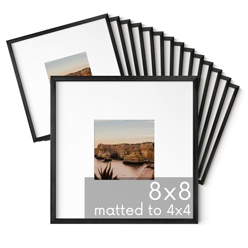 8x8 Black Metal Picture Frames Matted to 4x4