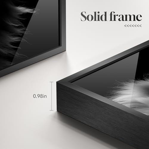 Framed Modern Black and Gray Lion Animal Wall Art