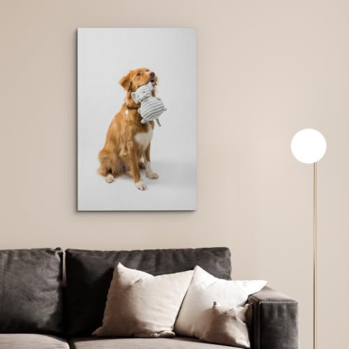 Custom Canvas Prints with Your Photos for Pet