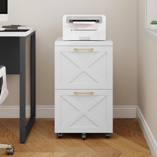 Farmhouse File Cabinet with 2 Drawers