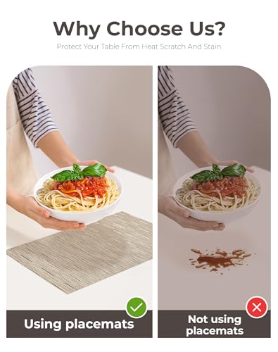 Light Brown Placemats Set of 8 (8 Count)