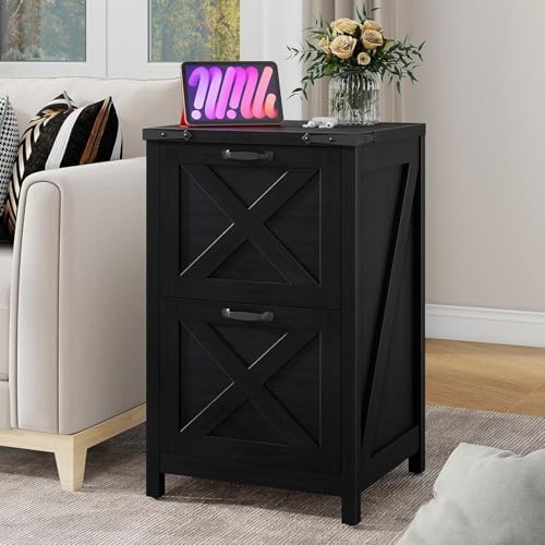 Vertical File Cabinet with 2 Drawers