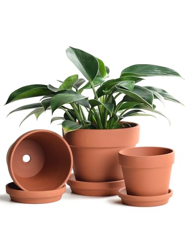 Terracotta Pots Set with Saucer (3 Count)