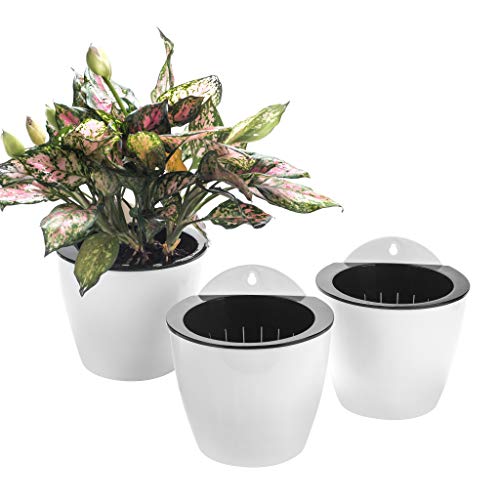 3 Pack Self Watering Wall Hanging Planter Pots Vertical Garden Window Hang Mount Indoor Outdoor Plant Flower Basket for Kitchen Herbs Balcony Railing Shelf Fence Bedroom Trellis Decor Modern White Box (3 Count)