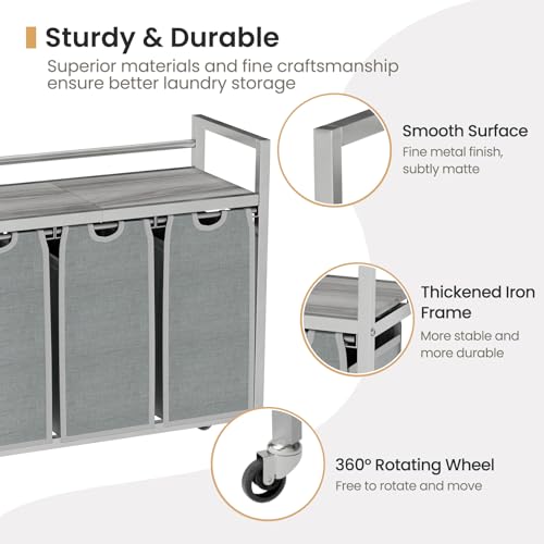 Laundry Sorter